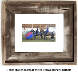 horse trail rides near me in Elmwood Park, Illinois